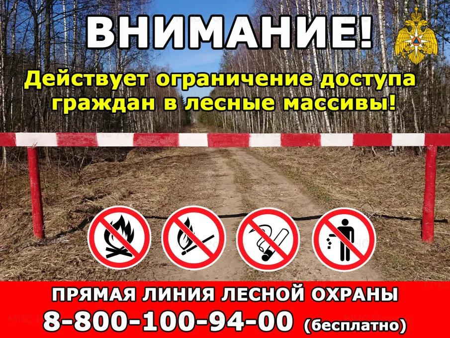 Внимание! Действует ограничение доступа граждан в лесные массивы!